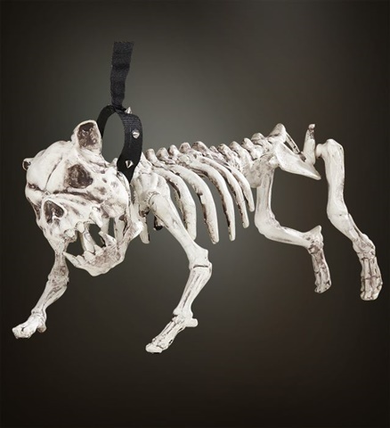 Hunde Skelett mit Halsband und Leine - 45cm
